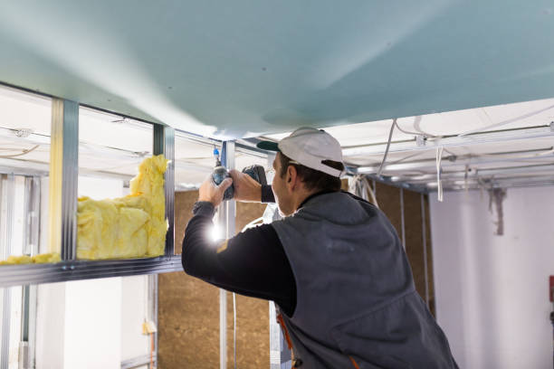 Best Insulation Materials and Products in Juarez, TX